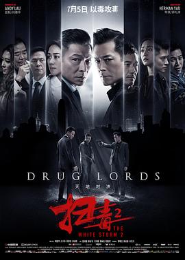 扫毒2天地对决国语海报