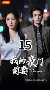 我的豪门前妻