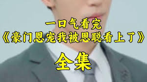 豪门恩宠我呗思聪看上了